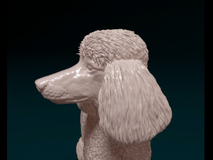 Poodle 05 3D printmodel