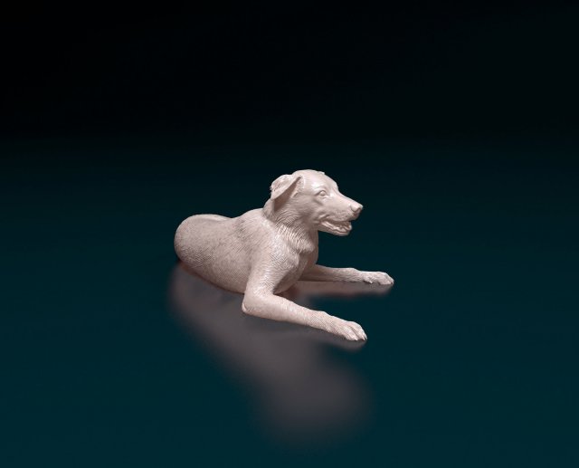 Border Collie 05 3D 打印模型 .c4d .max .obj .3ds .fbx .stl .blend 