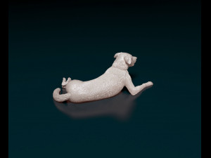 Border Collie 05 3D 打印模型