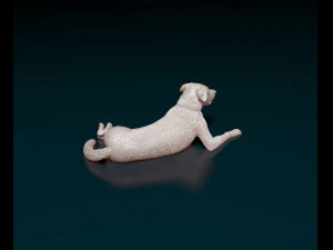 Border Collie 05 3D Print Model