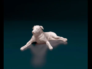 Border Collie 05 3D Print Model