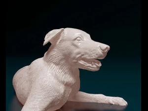 Border Collie 05 3D Print Model