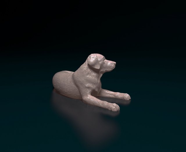 Labrador 04 Modelo de Impressão 3D .c4d .max .obj .3ds .fbx .stl .blend 