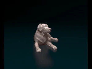 Labrador 04 3D Print Model