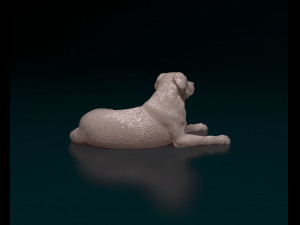 Labrador 04 Modelo de Impressão 3D