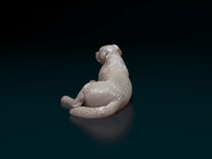 Labrador 04 Modelo de Impressão 3D