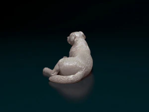 Labrador 04 3D Print Model
