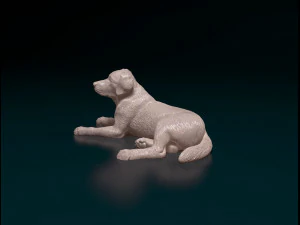 Labrador 04 3D Print Model