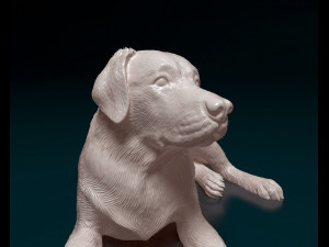 Labrador 04 Modelo de Impressão 3D