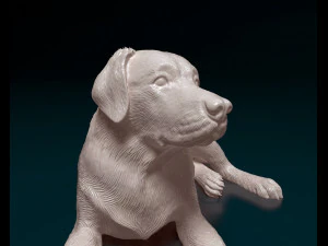 Labrador 04 3D Print Model