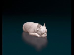 French bulldog 013 3D Print Model