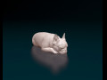 French bulldog 013 3D प्रिंट मॉडल