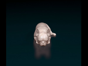 French bulldog 013 Modelo de Impressão 3D