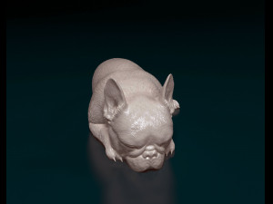 French bulldog 013 Modelo de Impressão 3D