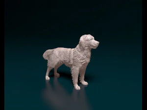 Коойкерхондье 3D Принт Модель