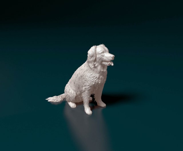 Stabyhoun dog 3D Print Model .c4d .max .obj .3ds .fbx .stl .blend 