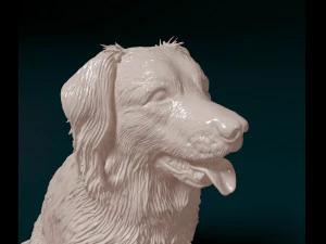 Stabyhoun dog 3D Print Model