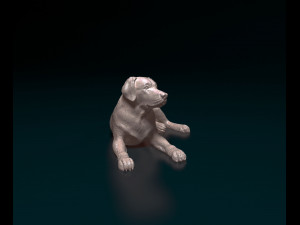 Marcas collection Modelo de impresión 3D