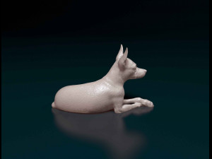 Miniature Pinscher Modelo de Impressão 3D