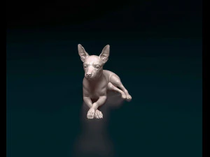 Miniature Pinscher 3D Print Model