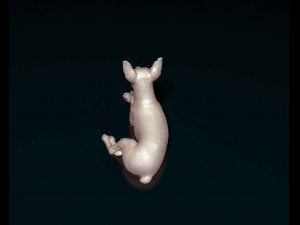 Miniature Pinscher Modelo de Impressão 3D
