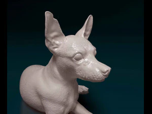 Miniature Pinscher 3D Print Model