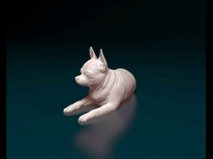 Chihuahua dog 08 Modello di stampa 3D