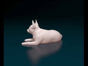 Chihuahua dog 08 Modello di stampa 3D
