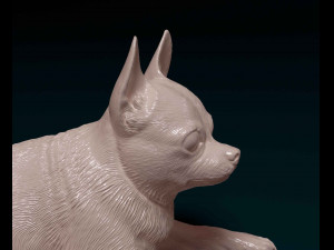 Chihuahua dog 08 Modello di stampa 3D