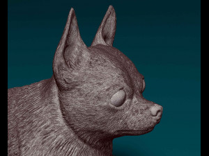 Chihuahua dog 08 Modello di stampa 3D