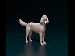 Poodle 06 Model do druku 3D