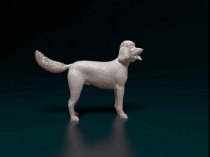 Poodle 06 Model Cetak 3D