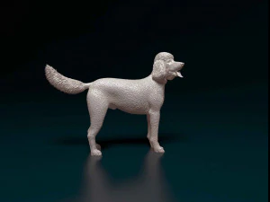 Poodle 06 3D Print Model