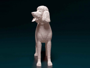 Poodle 06 Model Cetak 3D
