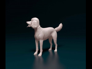 Poodle 06 Model Cetak 3D