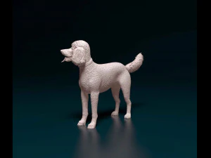 Poodle 06 3D Print Model