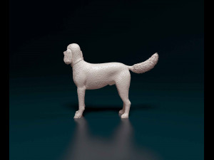 Poodle 06 Model Cetak 3D