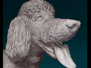 Poodle 06 Model Cetak 3D