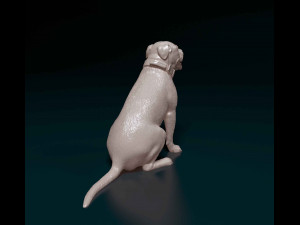 American Pitbull Modelo de Impressão 3D