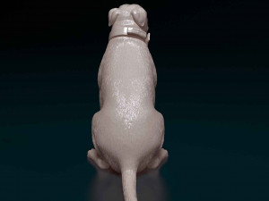American Pitbull Modelo de Impressão 3D