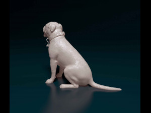 American Pitbull Modelo de Impressão 3D