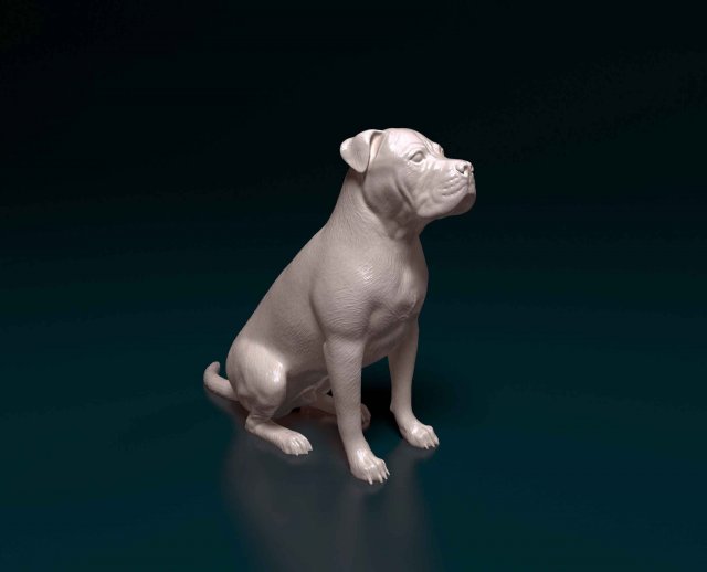 American Pitbull 09 3D प्रिंट मॉडल .c4d .max .obj .3ds .fbx .stl .blend 