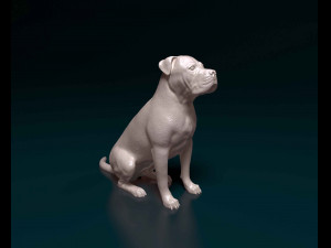 American Pitbull 09 3D Print Model