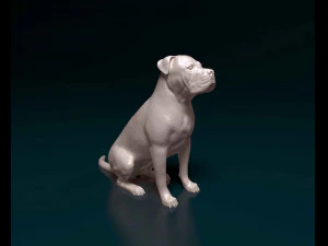 Американский Питбуль 09 3D Принт Модель