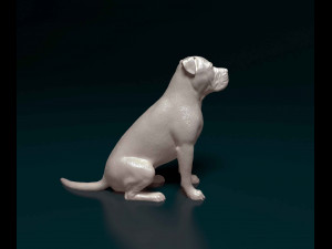 American Pitbull 09 3D प्रिंट मॉडल