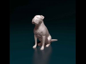 American Pitbull 09 3D प्रिंट मॉडल