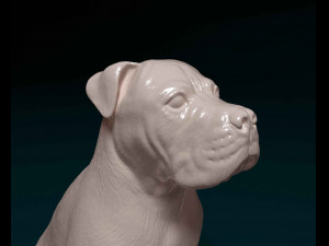 American Pitbull 09 3D प्रिंट मॉडल