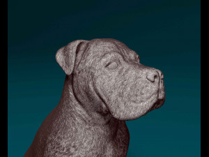 American Pitbull 09 3D प्रिंट मॉडल