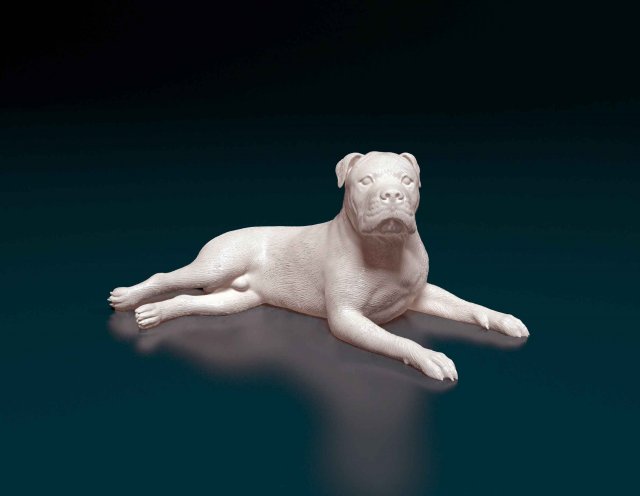American Pit bull 010 3D Baskı Modeli .c4d .max .obj .3ds .fbx .stl .blend 