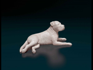 American Pit bull 010 3D Baskı Modeli
